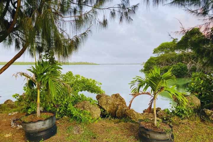 View of lagoon and palm trees